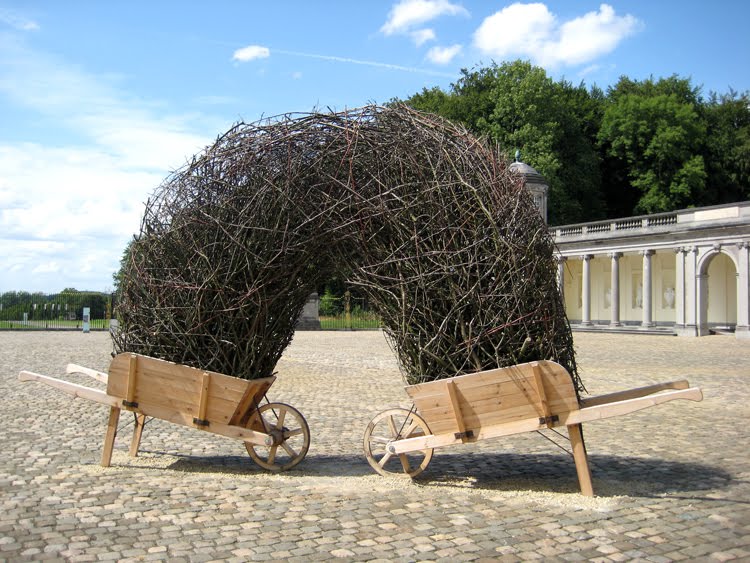 d-bob-verschueren